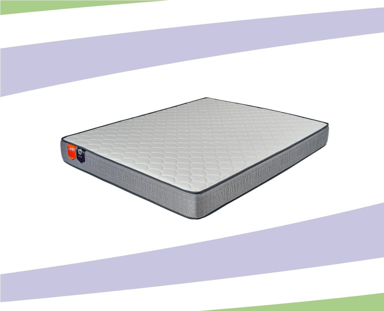 CARBONO - Imagen 1