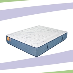 GEL FRESH - Imagen 1